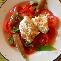 Snapdishの料理写真:Tomato salad with burrata