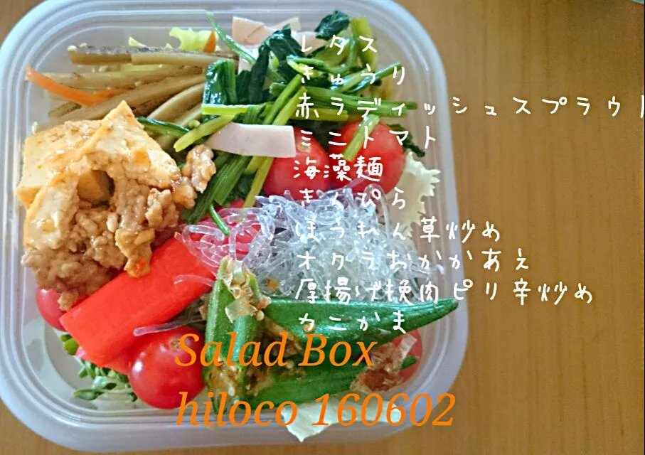 6*2 SaladBox|hilocoさん