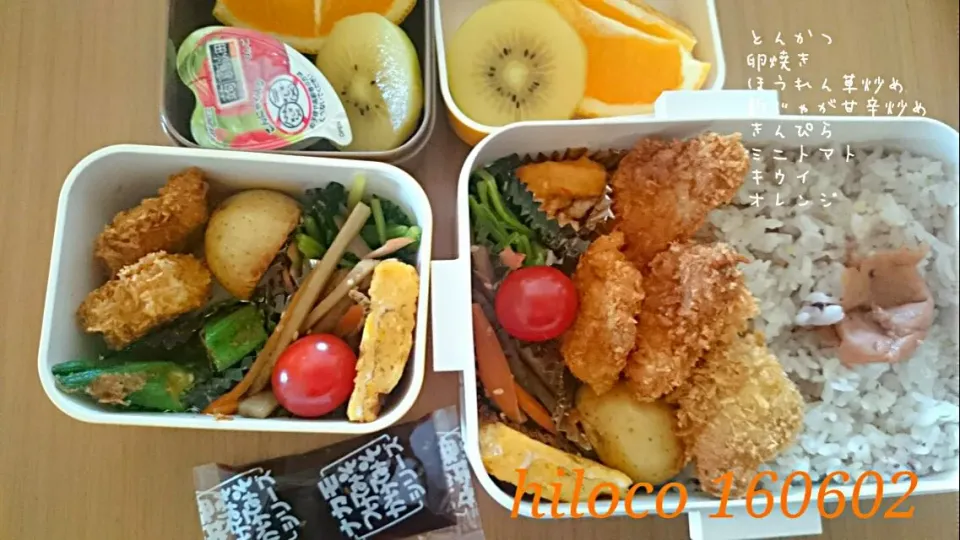 6*2  JD⭐DKお弁当|hilocoさん