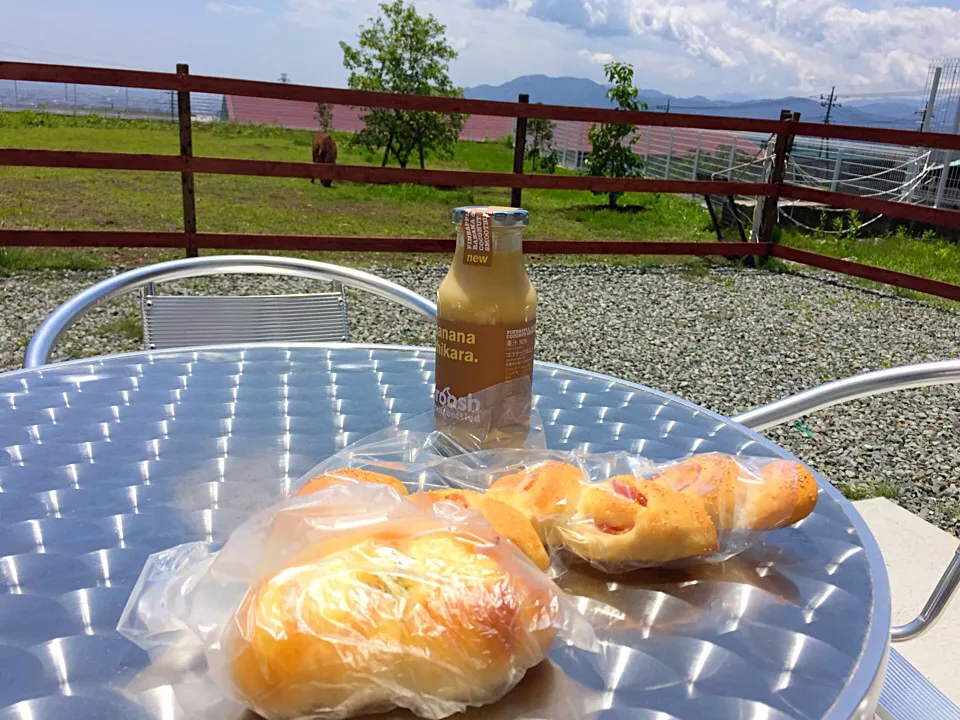 富士山にほど近いパン屋さんのテラスでランチ🍞  向こうに見えるのはポニーちゃんです🐴  雲が近い❣️|Hiroko Suzukiさん