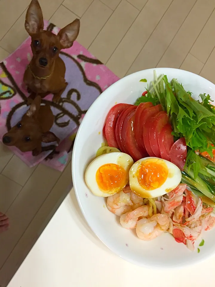 冷やし中華始めました🌞🌴🌺🌊👙👒🍧|Shizuko Hasebeさん