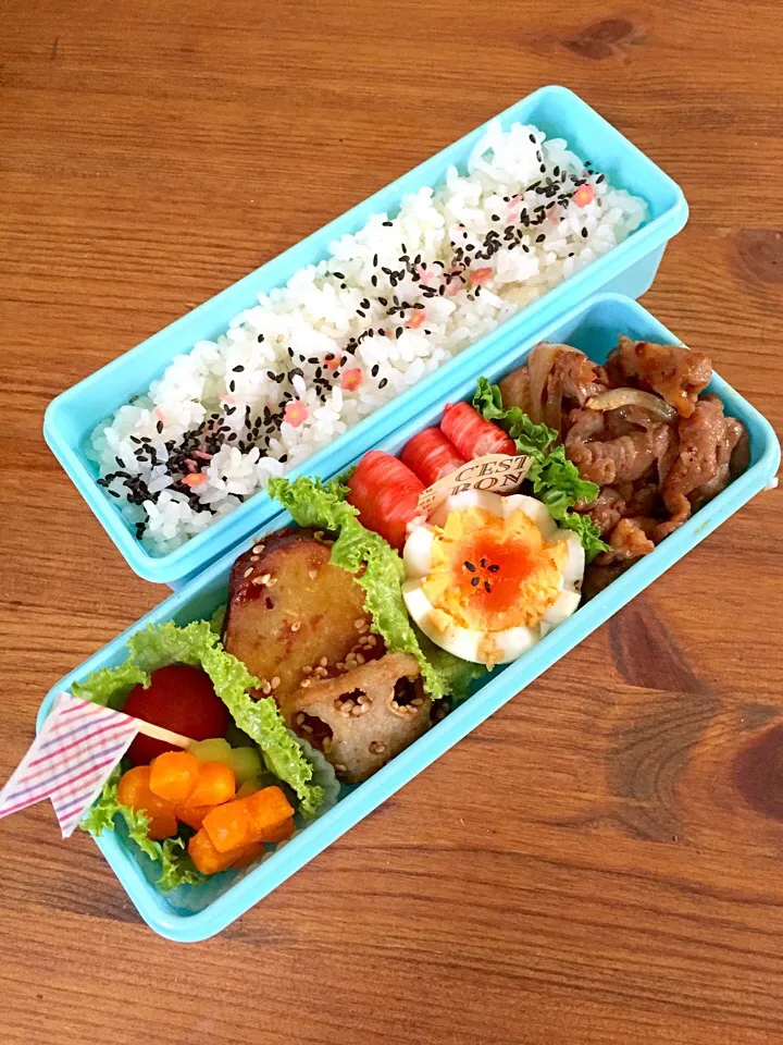 6/3 生姜焼き弁当🍱|カタツムリさん