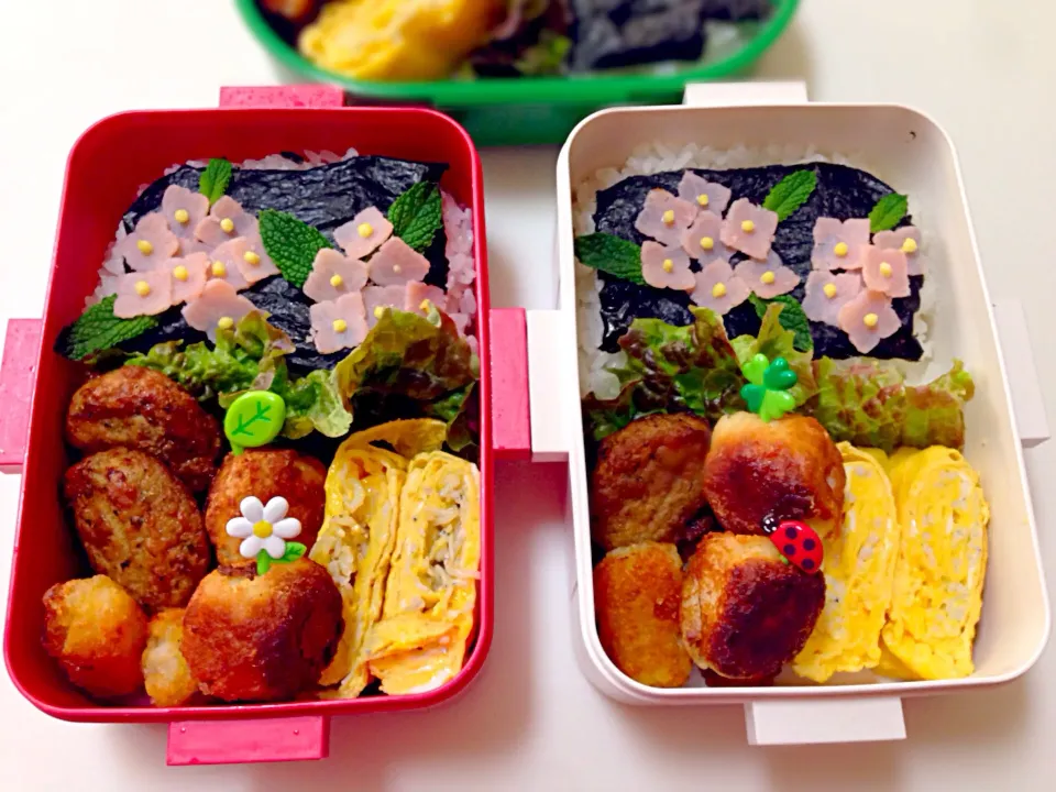 Snapdishの料理写真:6/3弁当|Mikaさん