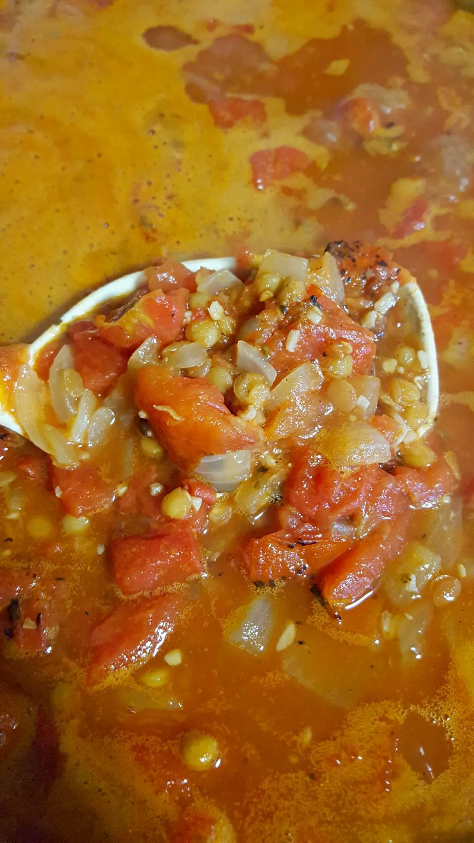 Lentil Spaghetti Sauce just before heading into boil-down.|Thebluestbutterflyさん