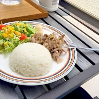 Snapdishの料理写真:プレートごはん、豚肉ネギソース|ぴっぱーさん