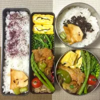 Snapdishの料理写真:お弁当|えりるさん