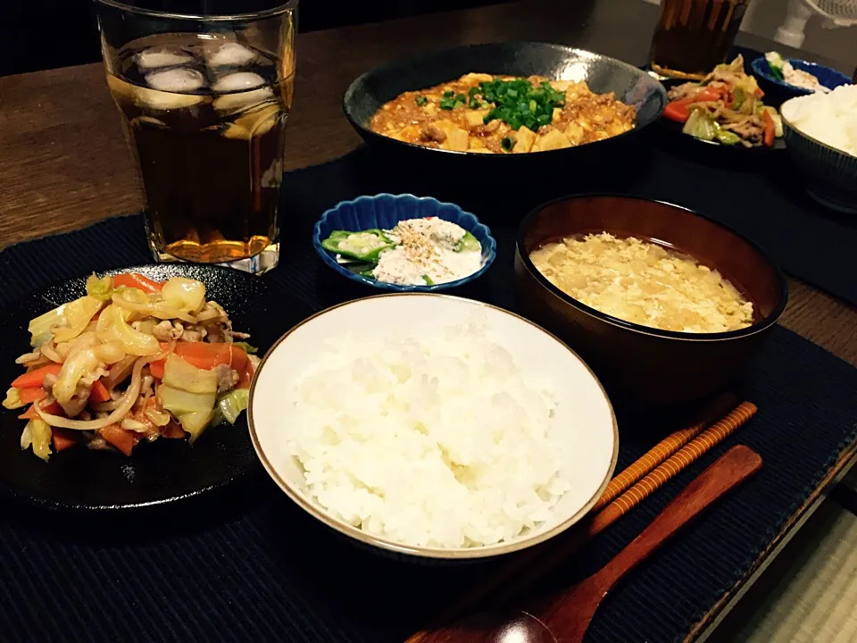 麻婆豆腐
野菜炒め
オクラの蟹マヨがけ
新玉ねぎのかきたま味噌汁|きゃなこさん