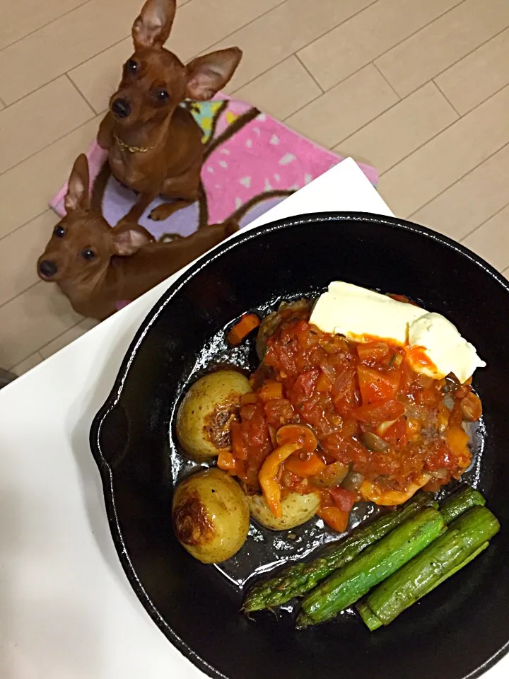 スキレットでハンバーグ
ソースが決めてっす！
犬添え|Shizuko Hasebeさん