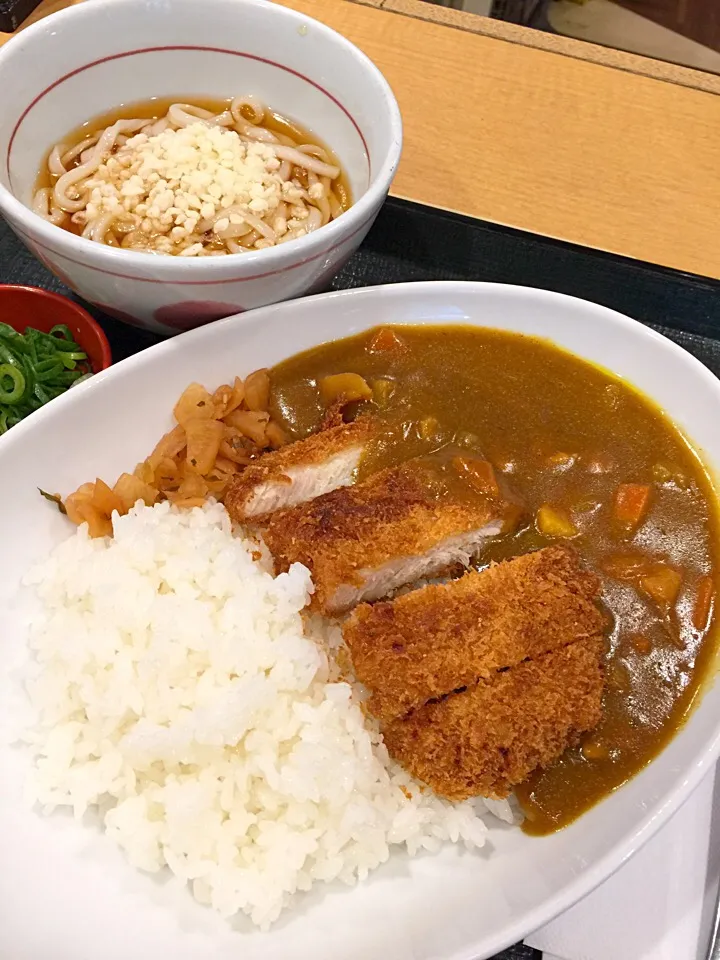 Snapdishの料理写真:和風カツカレー&小うどん冷やし|T. Wonderさん