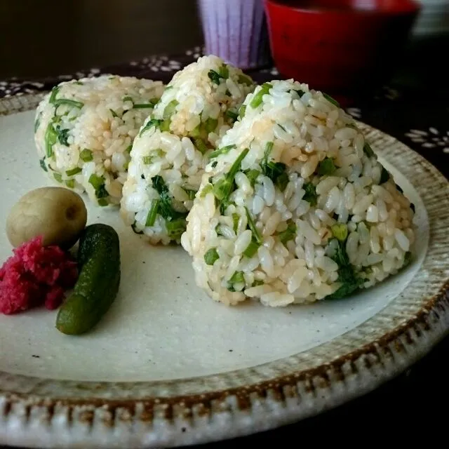 nonさんの 母の味。天然セリでセリご飯おにぎり。|うさかめさん