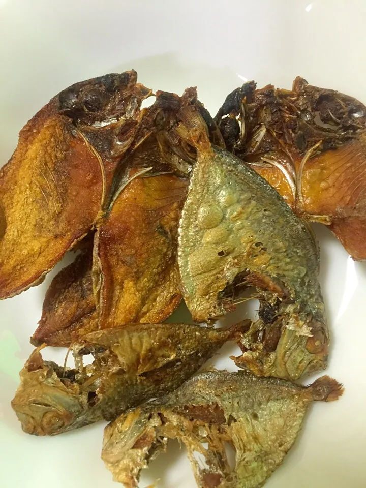 Fried dried fish from Philippines|marnilleさん