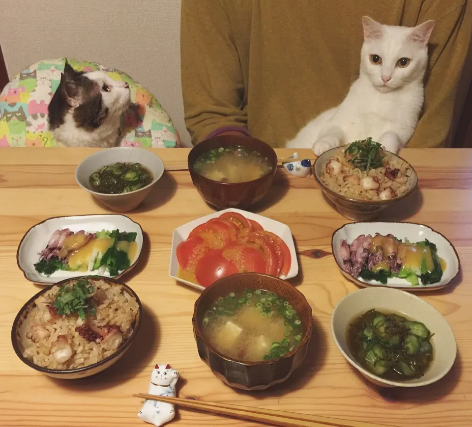 タコ飯。ホタルイカの酢味噌がけ。|naouさん