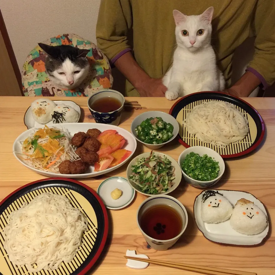 素麺。のり夫＆ごま夫、おにぎり🍙🍙|naouさん