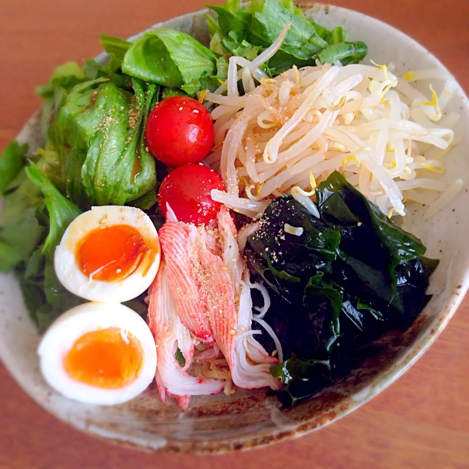 麺が見えない(⑅ ॣ•͈૦•͈ ॣ)꒳ᵒ꒳ᵎᵎᵎ マルちゃん正麺冷やし中華で、ほぼサラダの中華そば❤︎笑|Mimさん