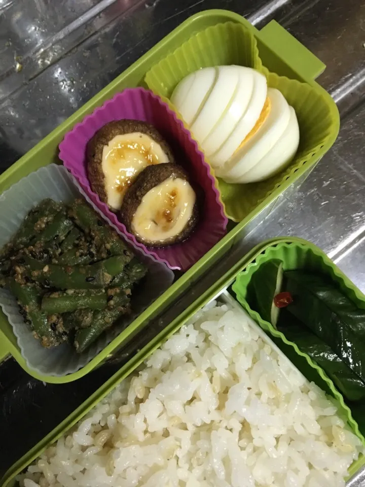 明日の弁当|メガネたんさん