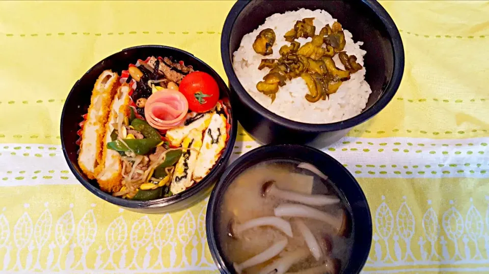 お弁当。玉ねぎフライとひじきと海苔巻き卵と牛もやしピーマン炒めとお味噌汁。もーそろそろお味噌汁終わりかな？どーでしょお。|エリカさん