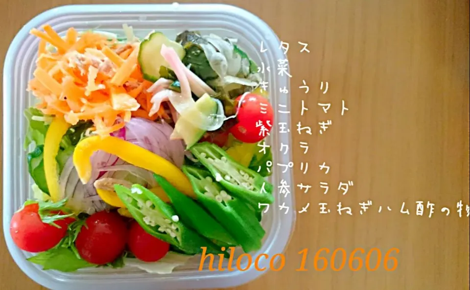 6*6 SaladBox|hilocoさん