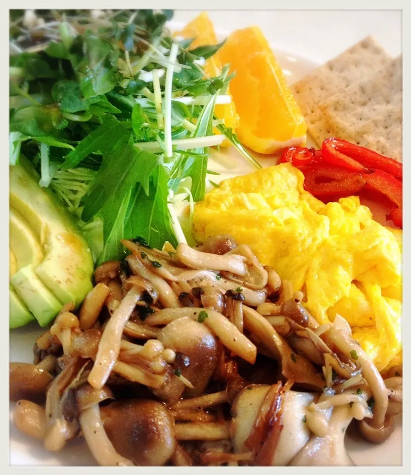 きのこな朝ごはん。Sauteed mushrooms for breakfast|toyamadaさん