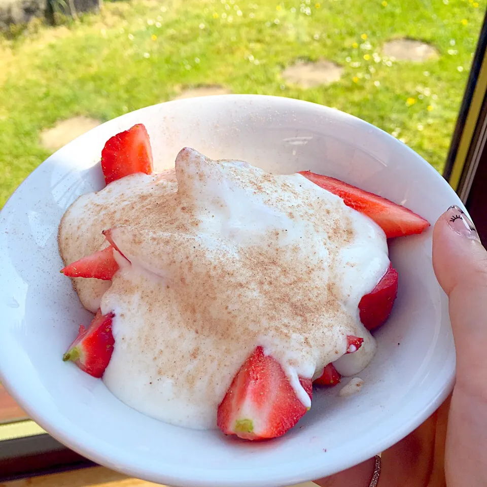 Strawberry, yogurt and a dash of Cocoa powder.|Tinky 🍒さん