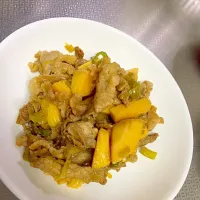 Snapdishの料理写真:たけのこと豚肉の甘辛煮|ざぴさん