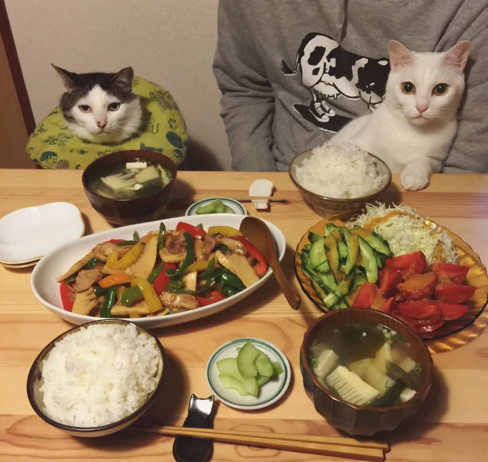 竹の子の青椒肉絲風、竹の子のお味噌汁。|naouさん