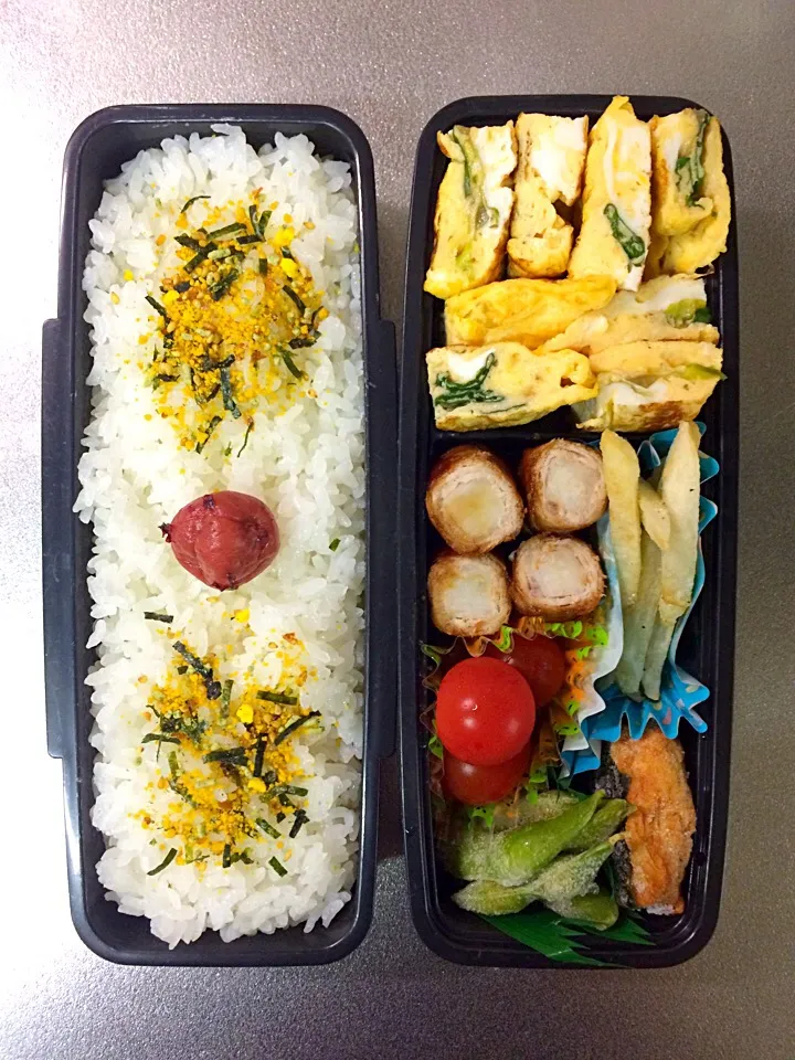 Snapdishの料理写真:息子用 お弁当(365)|トモさん