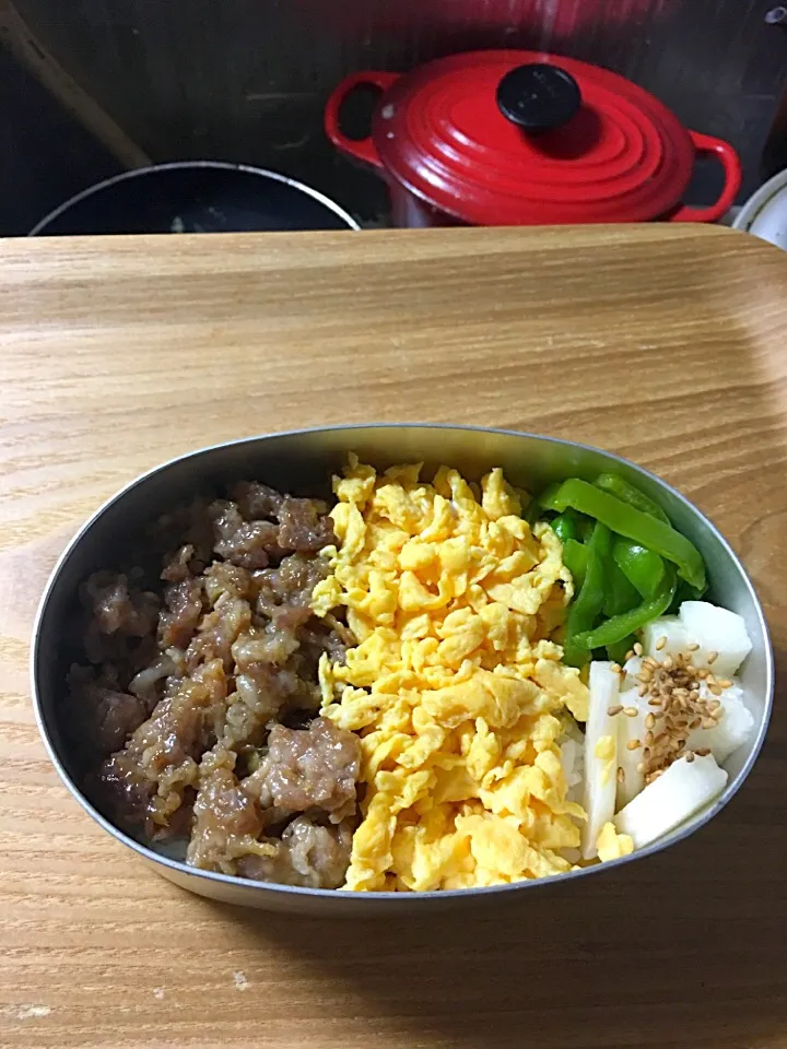 Snapdishの料理写真:お弁当６月６日|tomokoさん