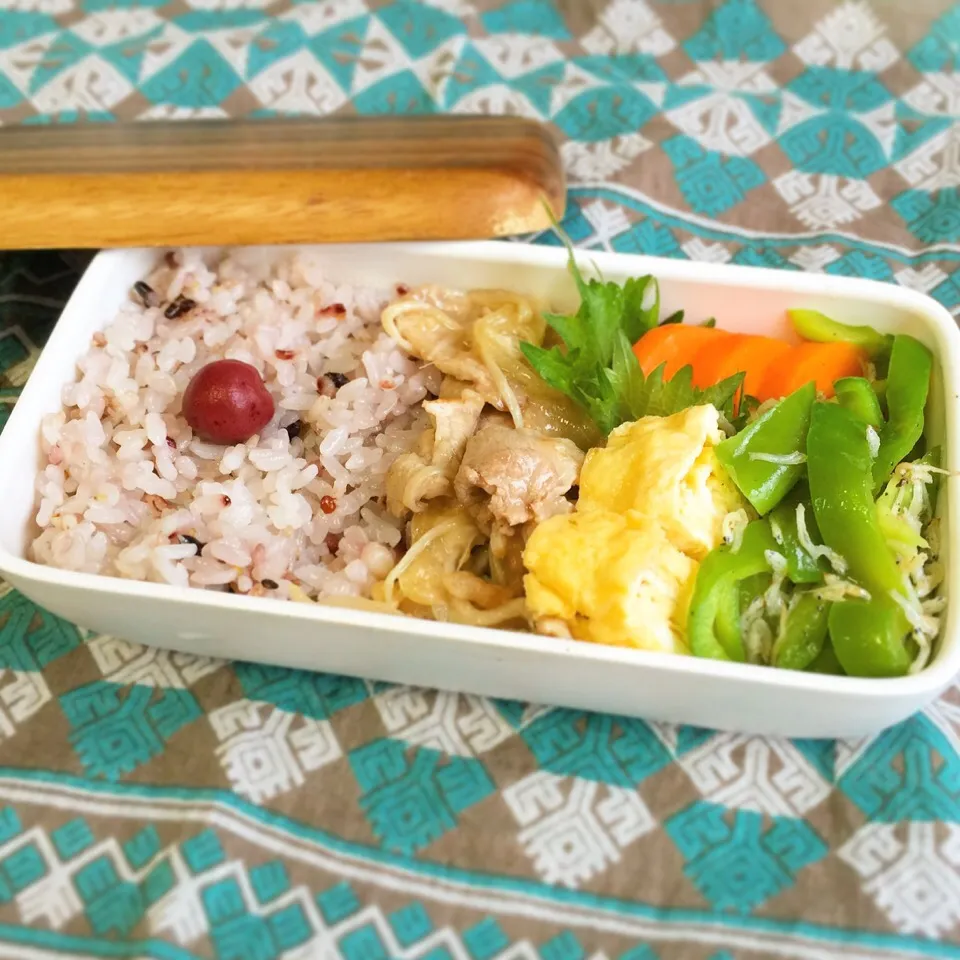 豚しょうが焼きとデカピーマン弁当|cosokosoさん