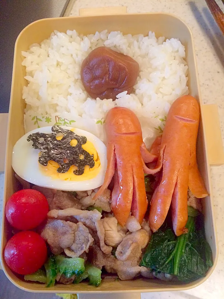 ゴーヤーチャンプルー弁当|ふくながさん