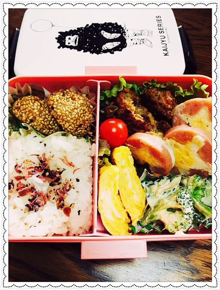 今日の娘っちの お弁当|えみちさん