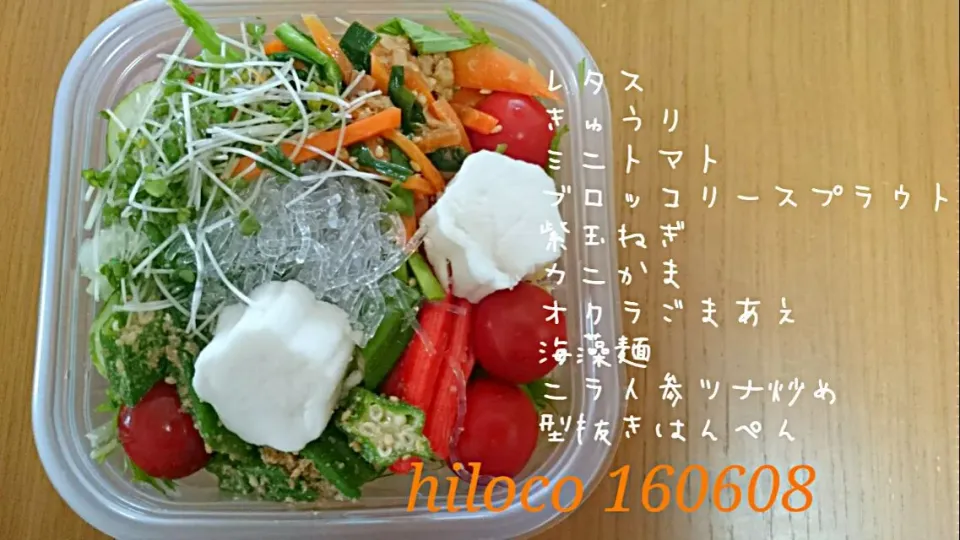 6*8 SaladBox|hilocoさん