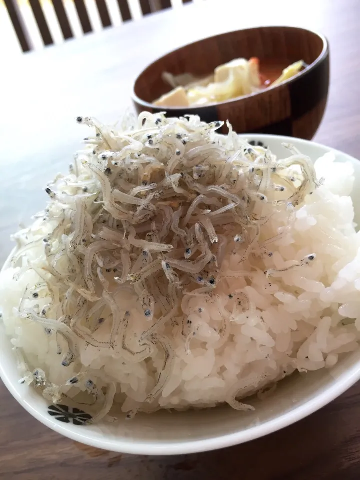 ✨漢の昼食✨|中さんさん