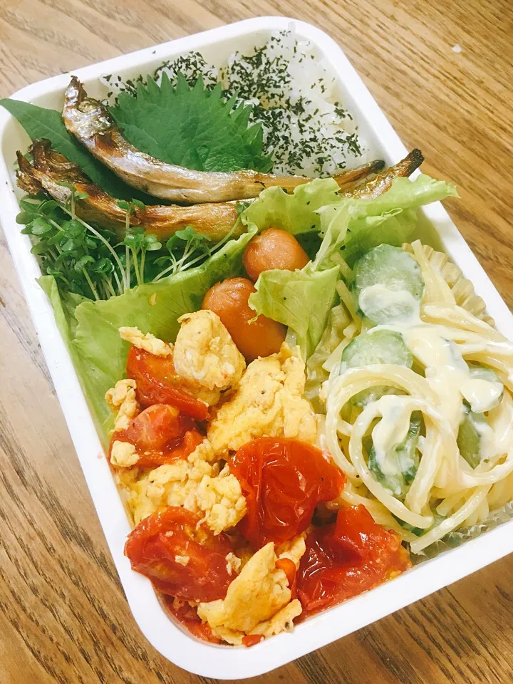 Snapdishの料理写真:今日のお弁当
・ふわふわ玉子とトマトのオリーブ炒め
・パスタサラダ
・本シシャモ|akiさん