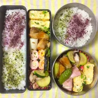 色が足りないお弁当|えりるさん