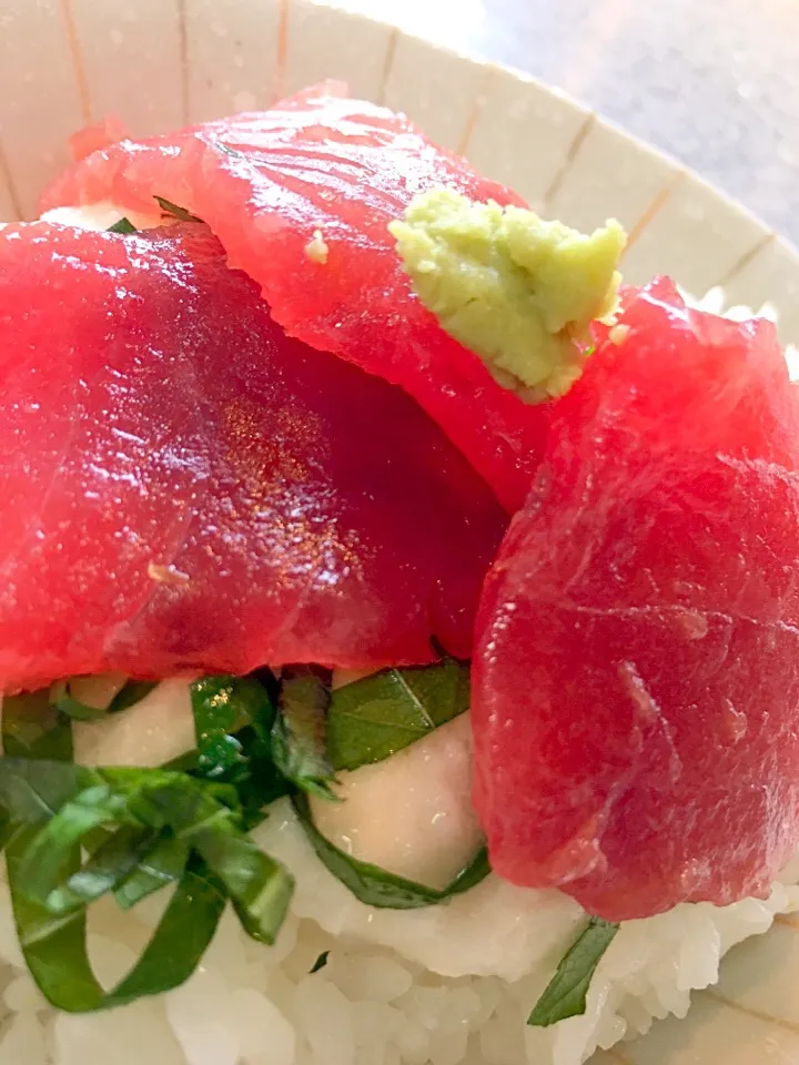 マグロの山かけ丼〜😋|てんてんさん