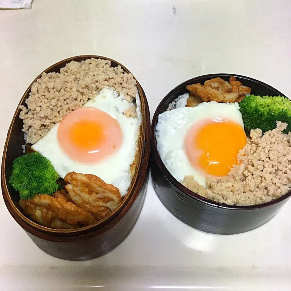 目玉焼きのせ鶏そぼろ弁当|うさママさん