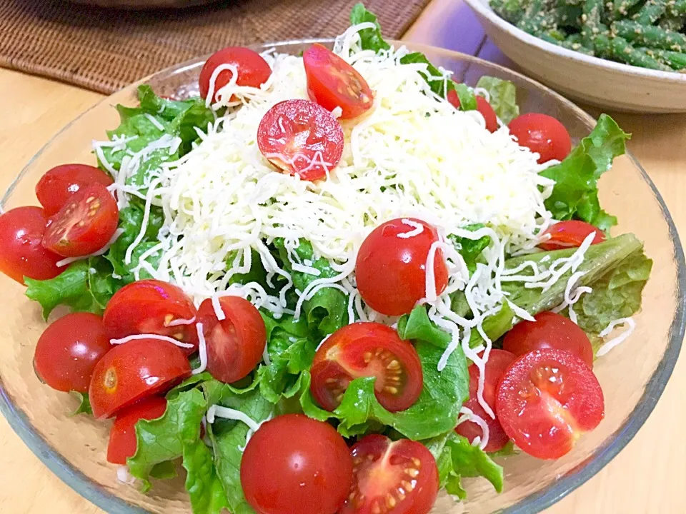 レタスを食べるサラダ🍅自家栽培|やました まみさん