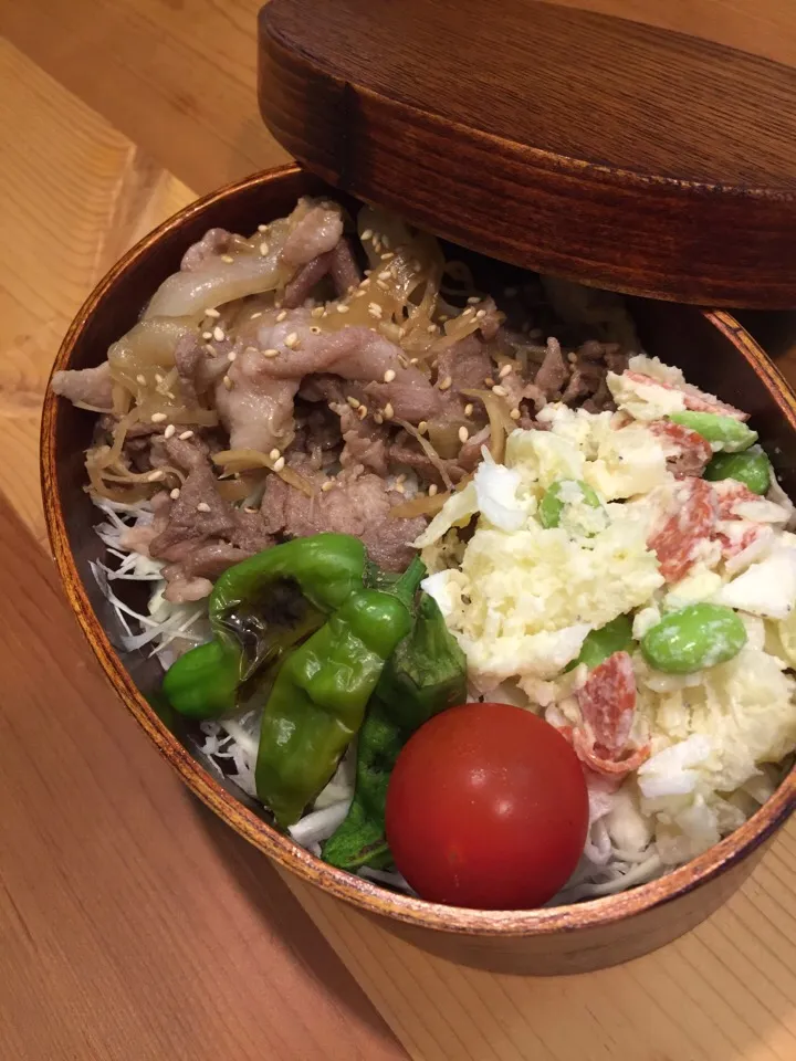 6月9日 豚肉の生姜焼きどーん弁当|ひななぎさん