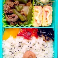 Snapdishの料理写真:お弁当|みれいさん