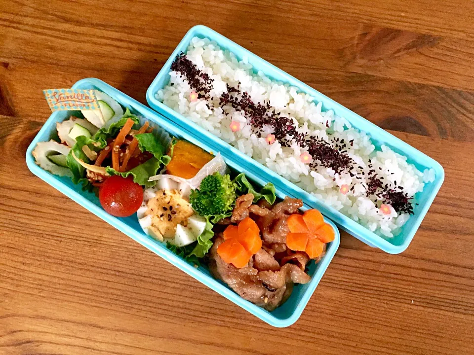 Snapdishの料理写真:6/9 お弁当🍱|カタツムリさん