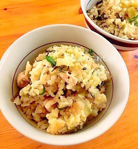 鷄と高菜の中華風炊き込みご飯✿ by はぁぽじ｜簡単作り方/料理検索の楽天レシピ|はぁぽじさん