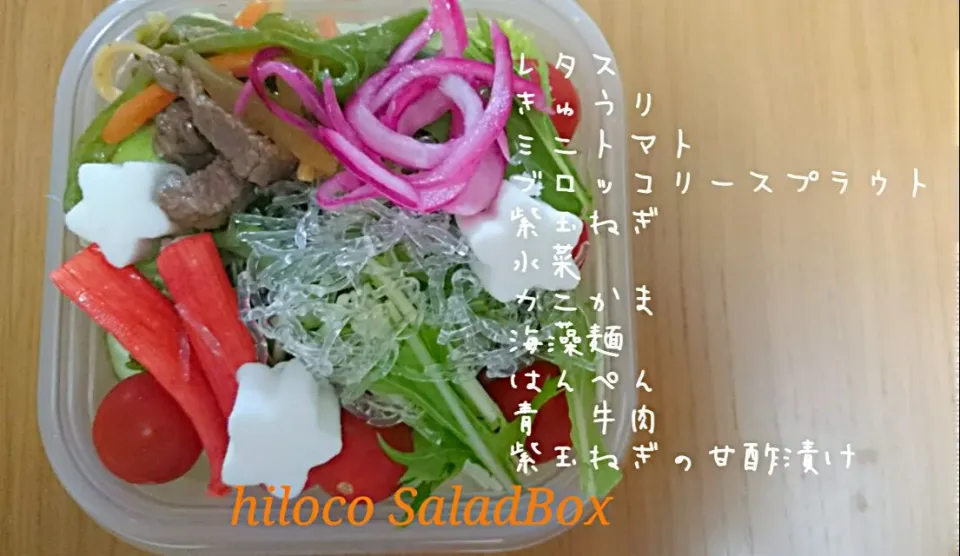 6*9  SaladBox|hilocoさん