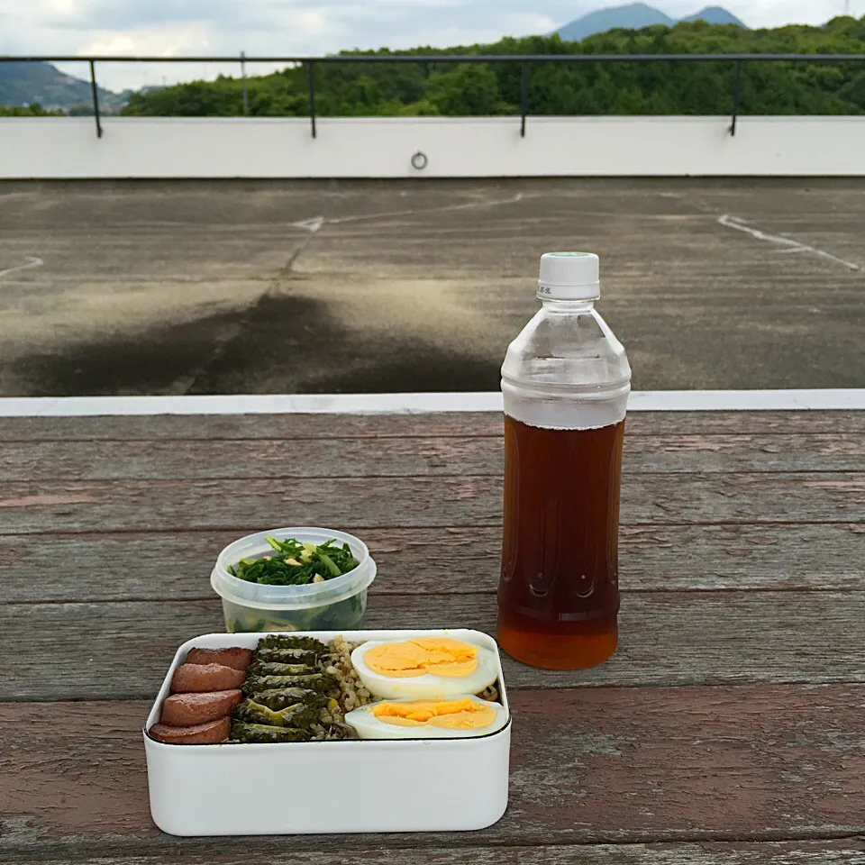 ピクニック・ランチ♬ (▰˘◡˘▰)☝︎|Yoshinobu Nakagawaさん