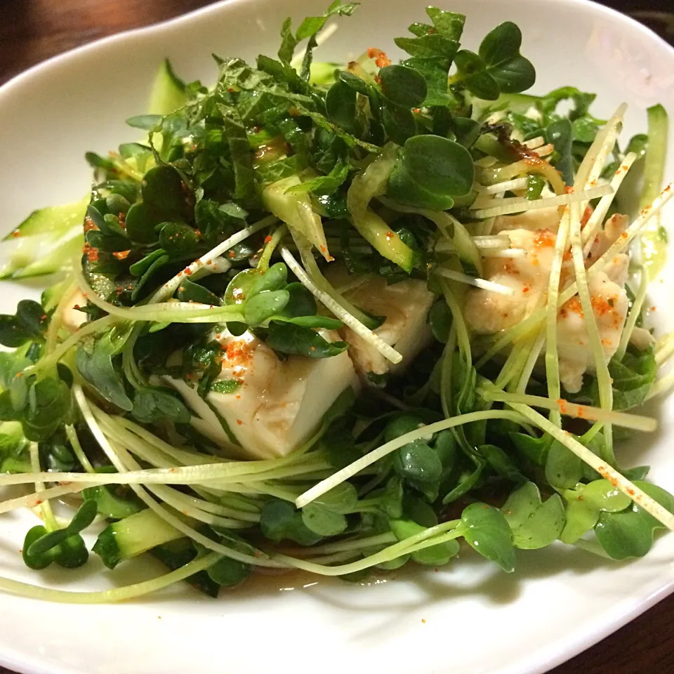 うちの冷奴…かいわれ 大葉 キュウリ だし醤油とごま油と七味をかけて。
蒸し暑かった日にぴったり！|hiroさん