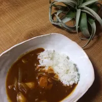 チキンカレー|チップさん