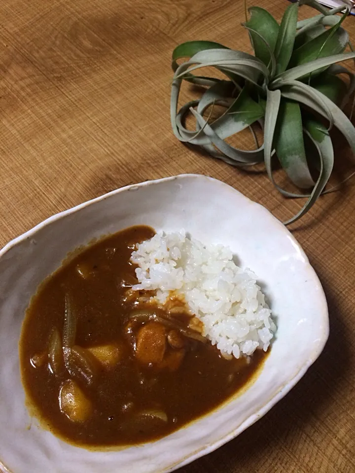 チキンカレー|チップさん