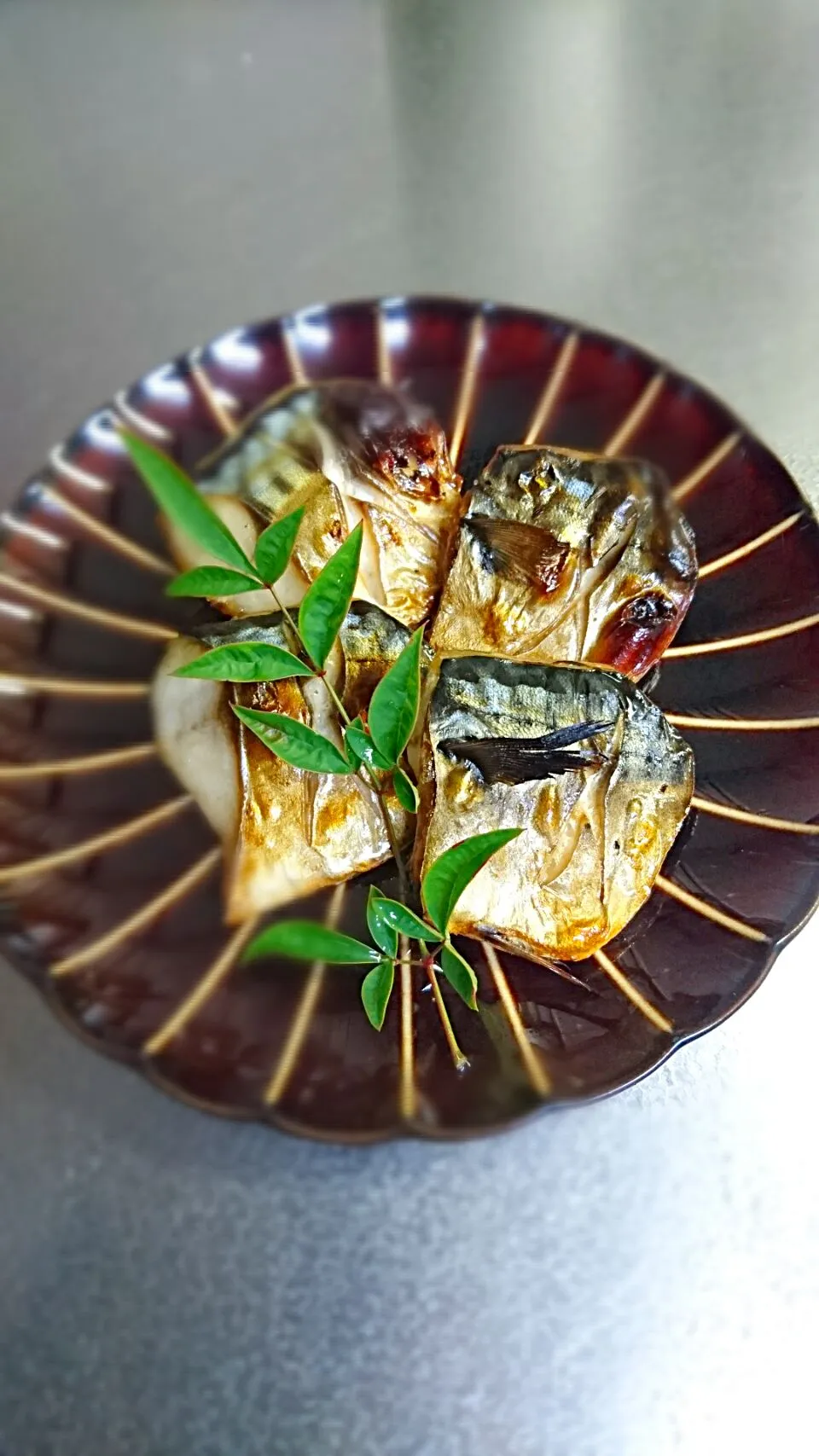 トロ鯖焼き|藤田 まり子さん