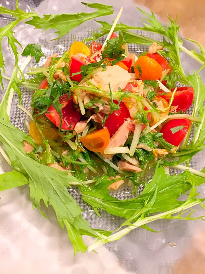 フルーツトマトと水菜のさっぱりツナサラダ🍅🌿|まみりんごさん