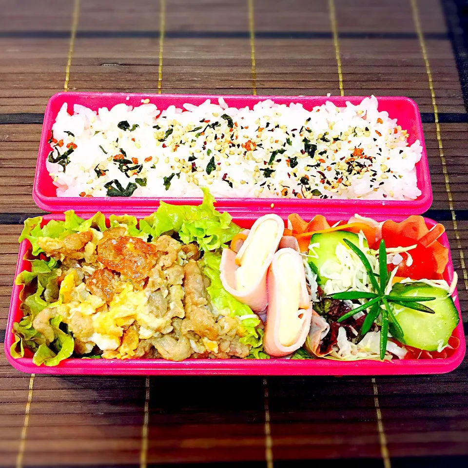 今日の娘のお弁当|りんりんさん