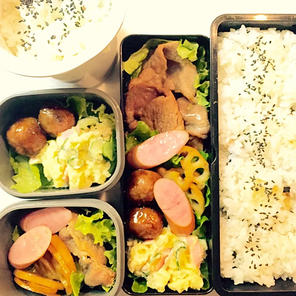 Snapdishの料理写真:お弁当6/10 生姜薬、ポテトサラダ、レンコンのきんぴら|きささん